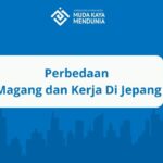 Perbedaan Magang dan Kerja Di Jepang