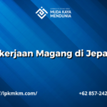 Pekerjaan Magang di Jepang