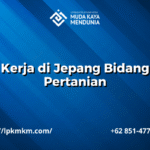 Kerja di Jepang Bidang Pertanian