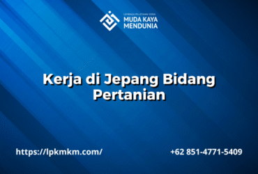 Kerja di Jepang Bidang Pertanian