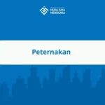 Peternakan